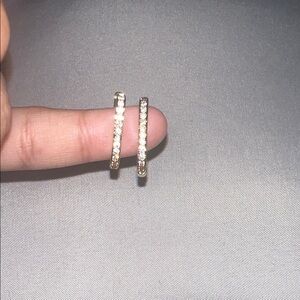 Elegant Gold and Silver Hoop Earrings